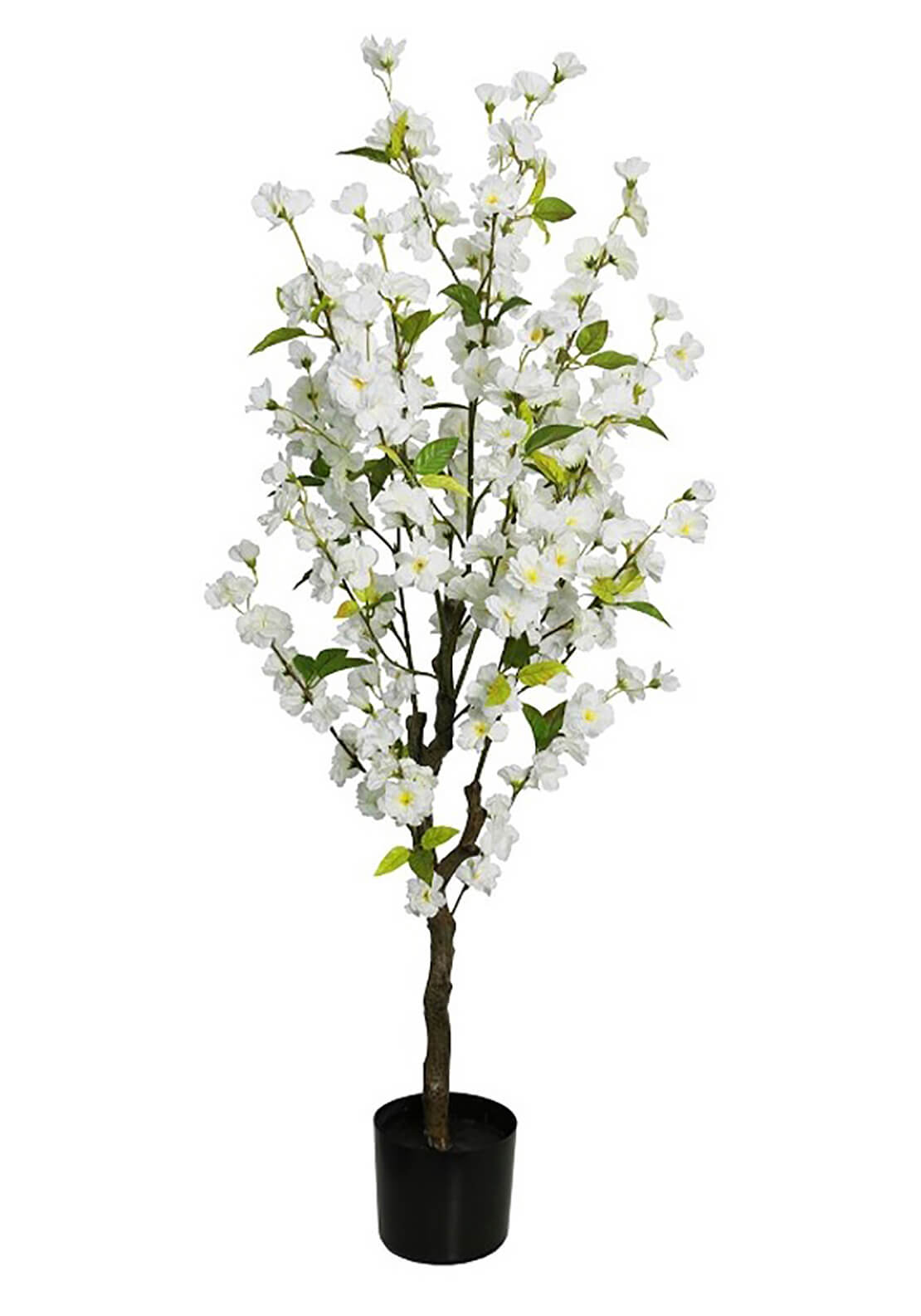The Home Collection Artificial Cherry Tree White 2 Shaws Department Stores