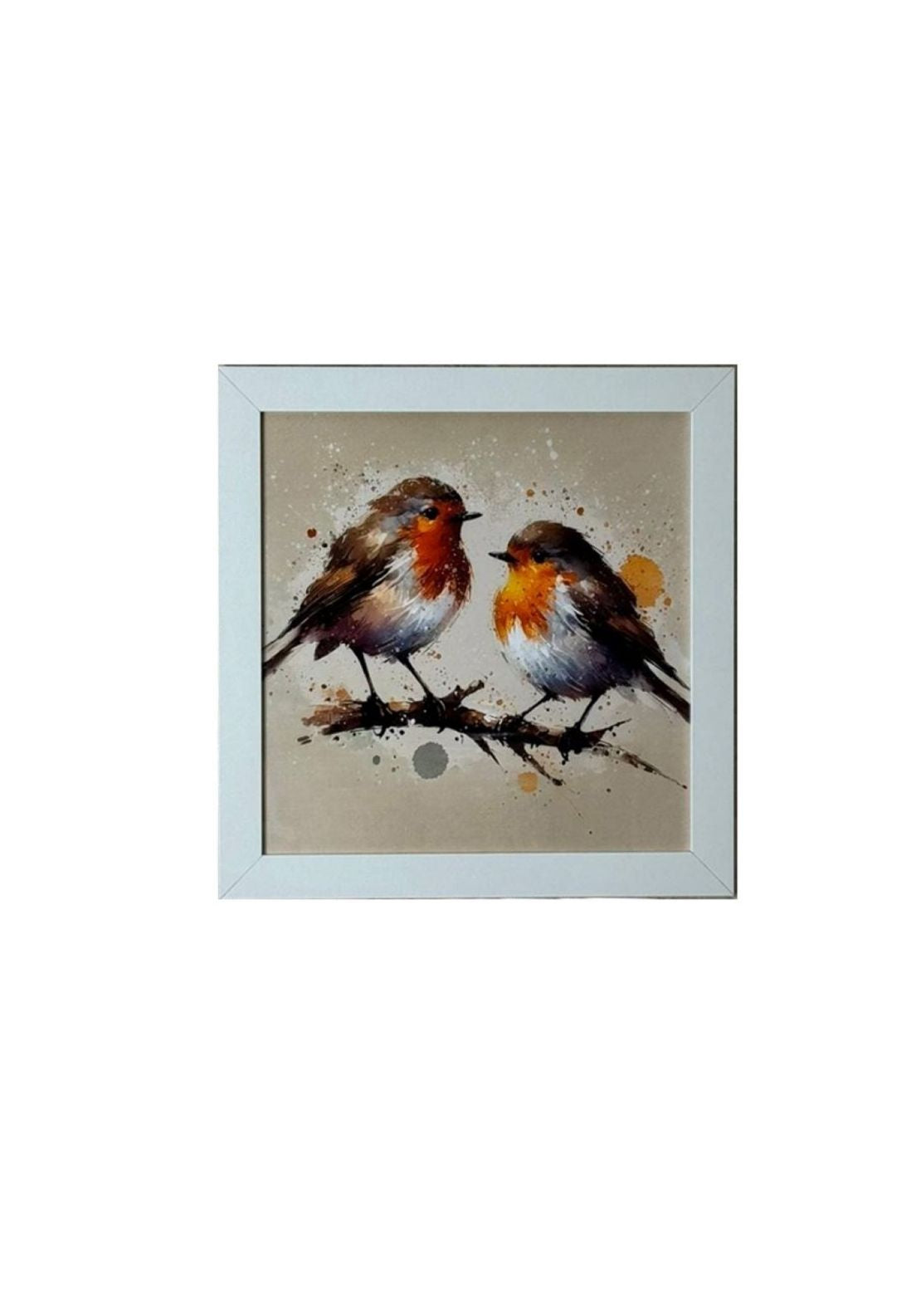 The Home Collection Two Robins Framed Picture - White 1 Shaws Department Stores
