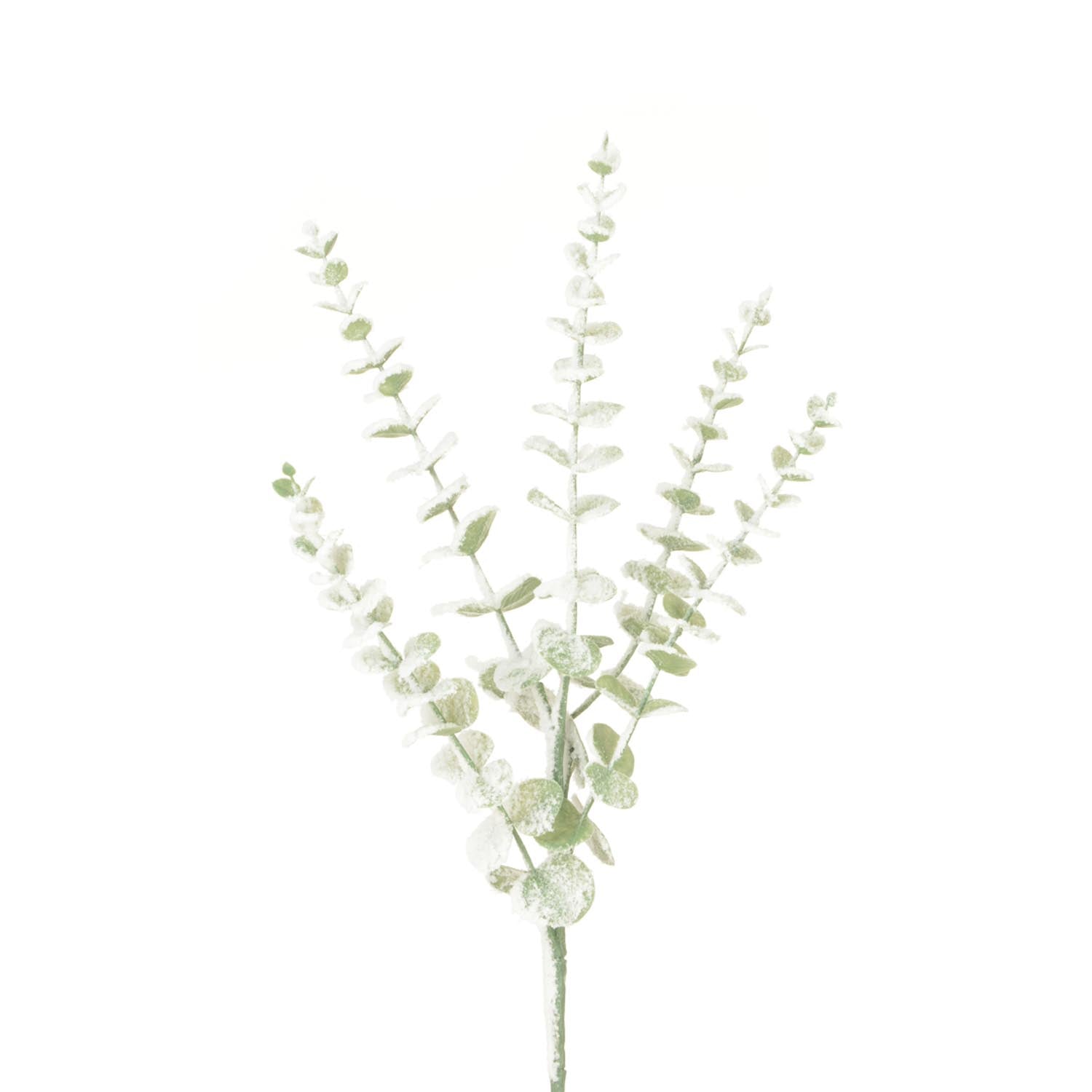 Floralsilk Snowstorm Eucalyptus 1 Shaws Department Stores