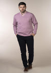 Mens V-Neck Jumper