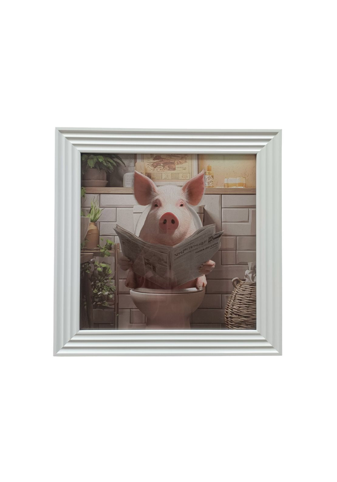 The Grange Collection The Stonewall Gallery Framed Picture Pig Reading - Multi 1 Shaws Department Stores