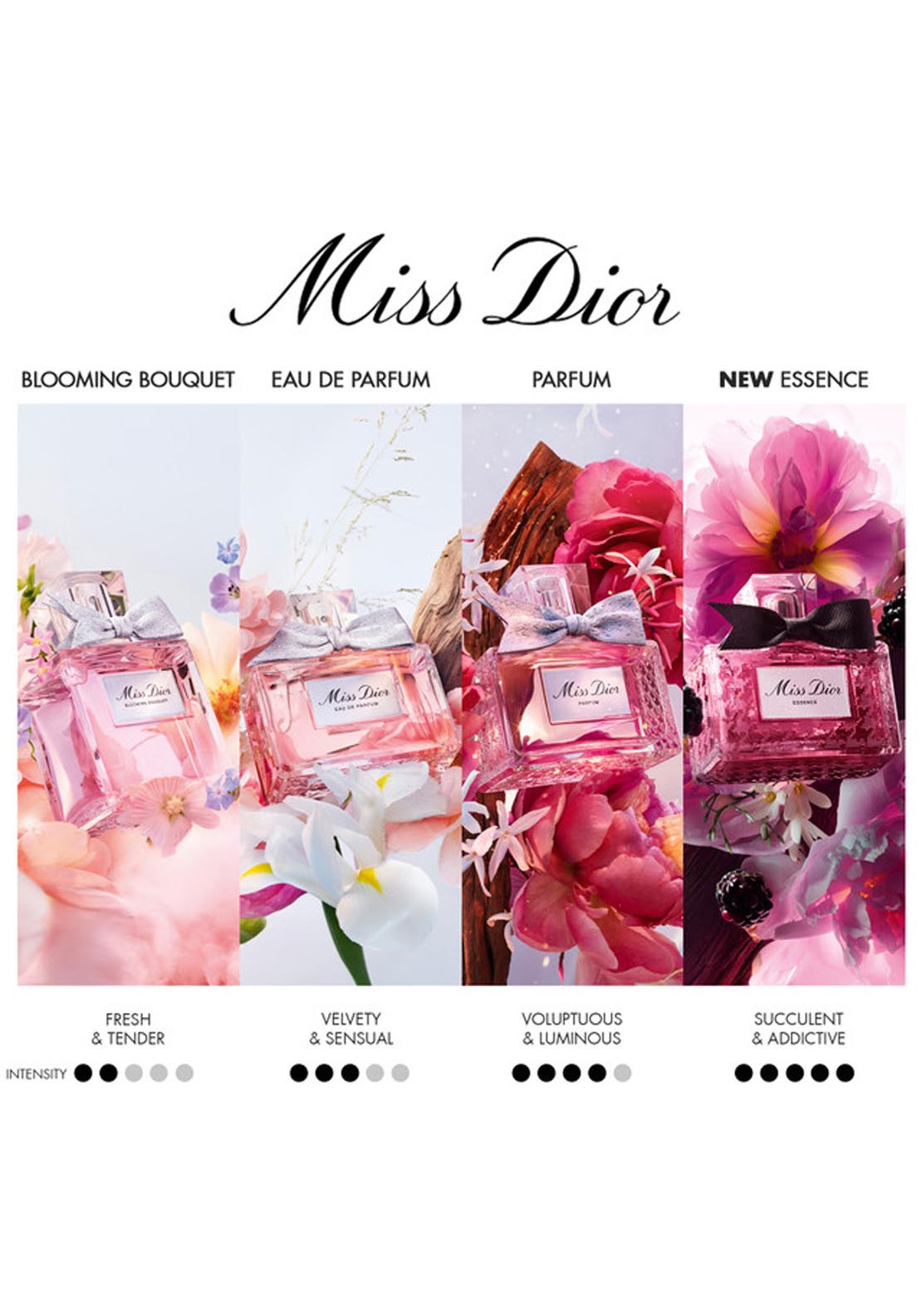 Dior Miss Dior Essence de Parfum 6 Shaws Department Stores