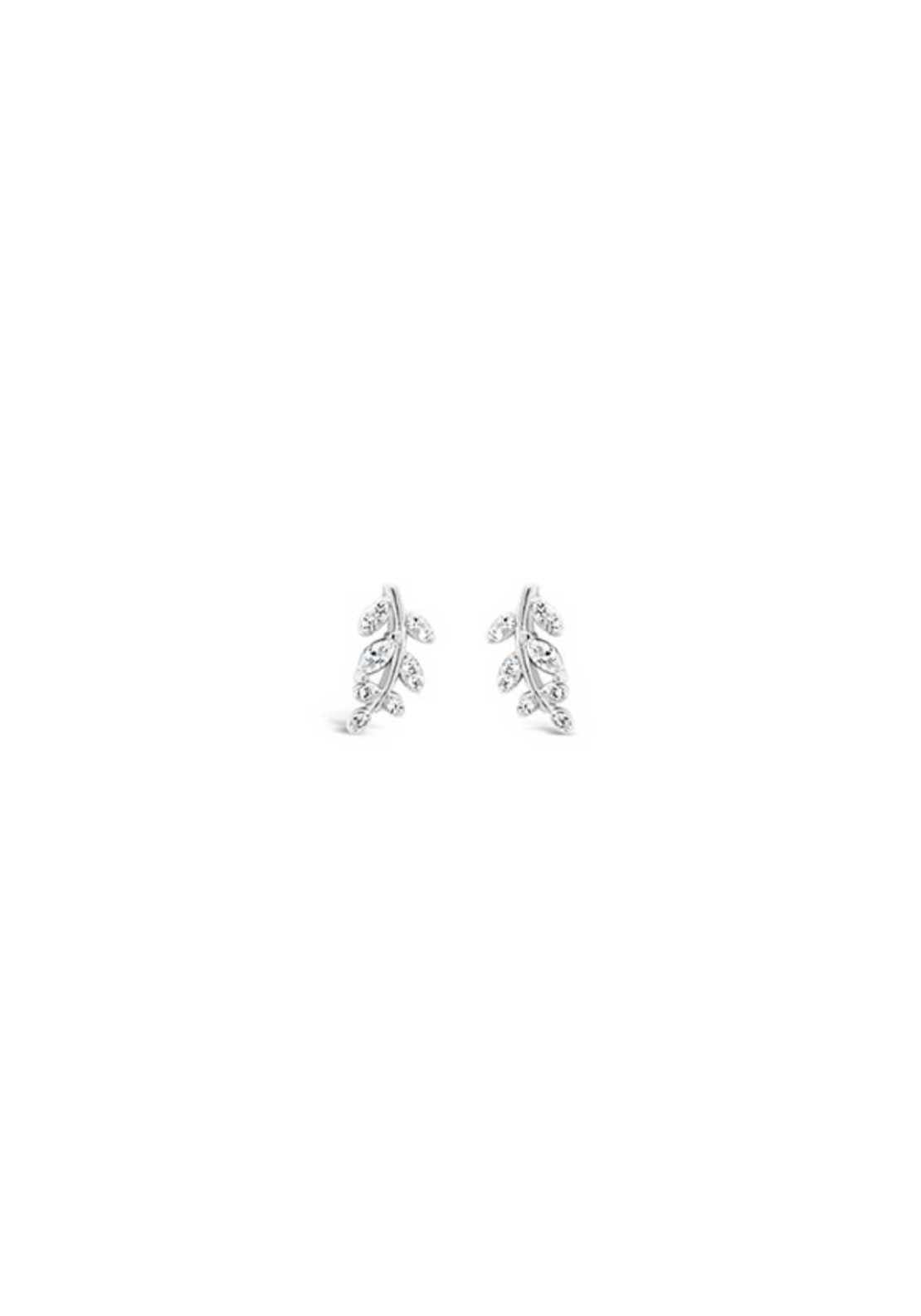 Absolute Jewellery Earring Leaf Stud - Sliver 1 Shaws Department Stores