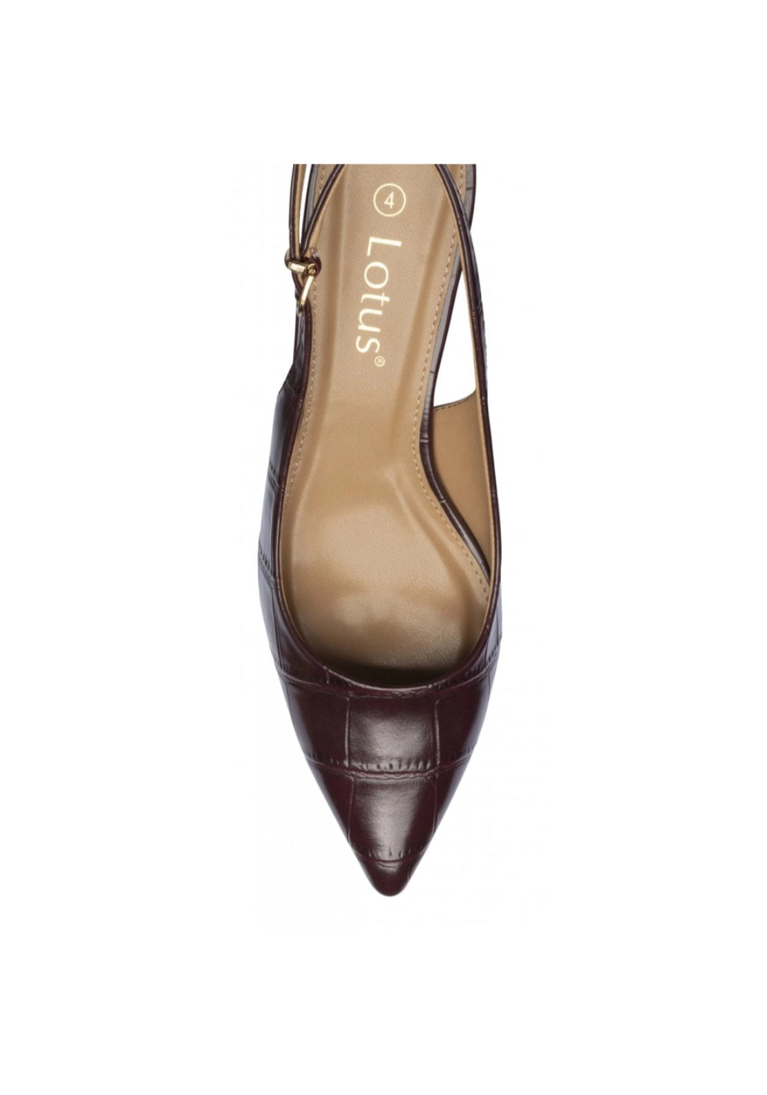 Lotus Arwen Shoe - Bordo Croc 4 Shaws Department Stores