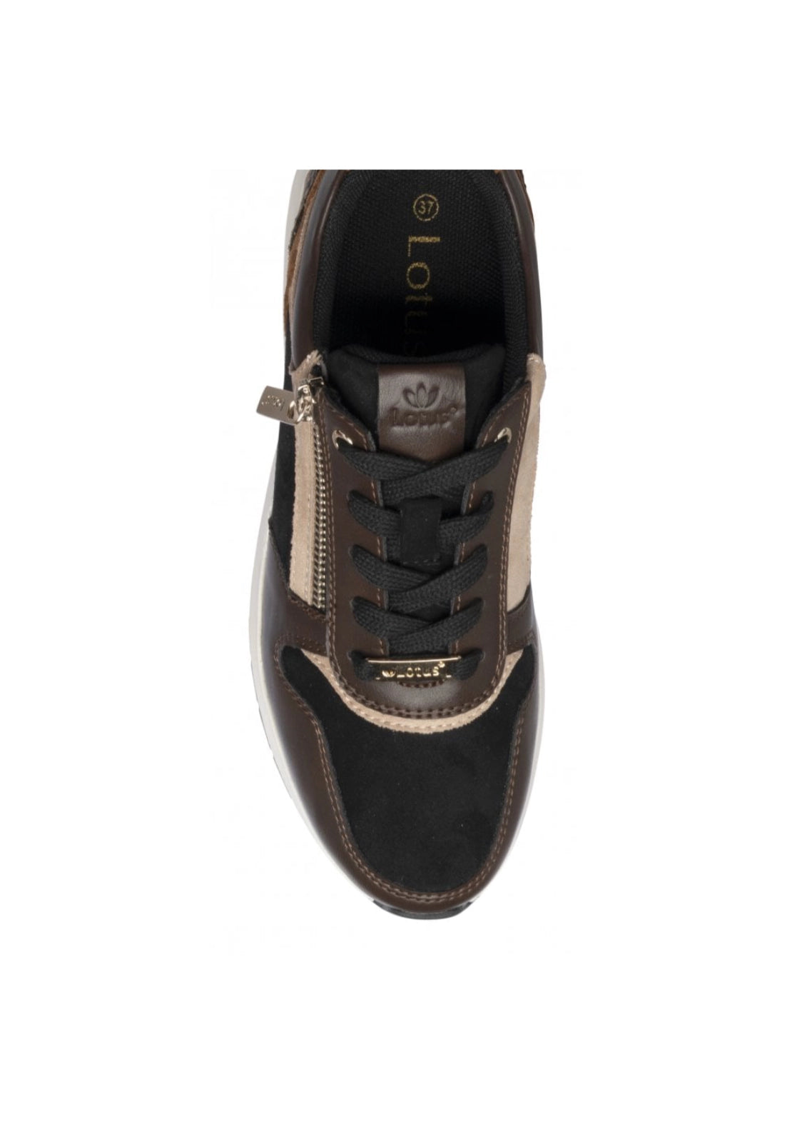 Lotus Venus Trainers - Brown / Black 4 Shaws Department Stores