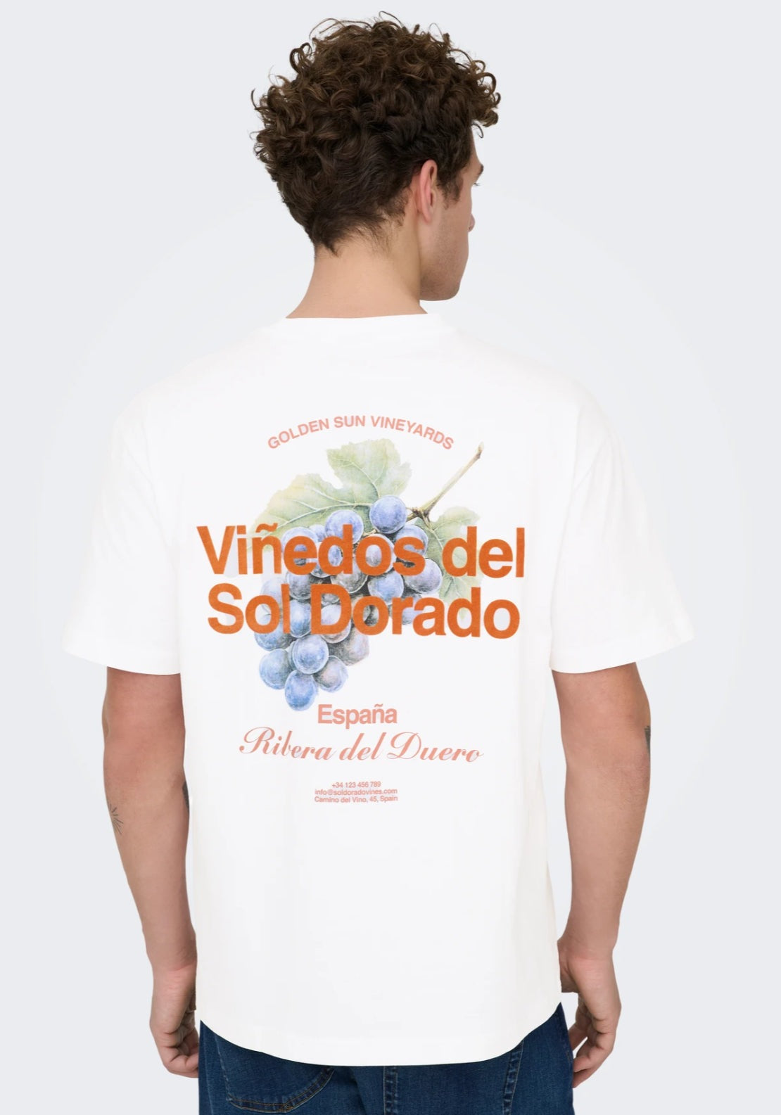 Only &amp; Sons Fred T-Shirt - White 3 Shaws Department Stores