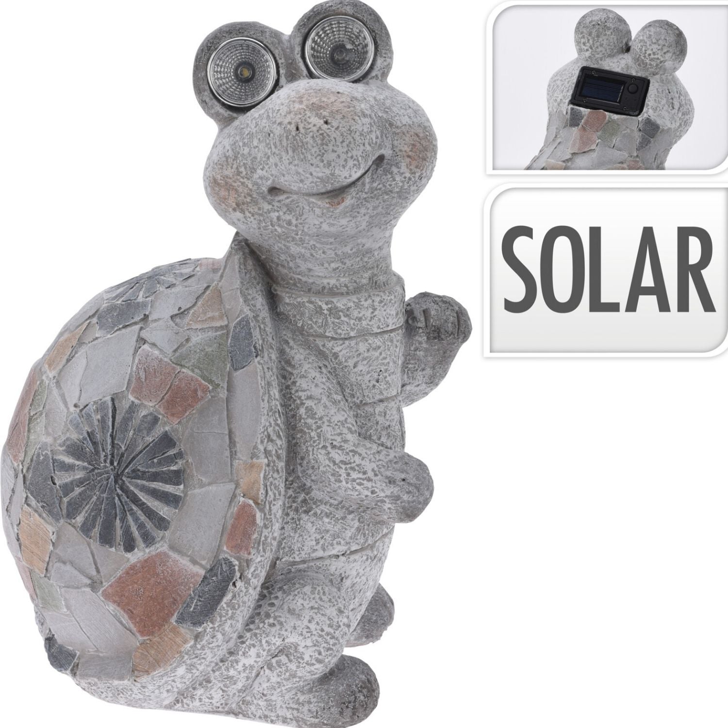 Koopman Turtle - Solar Eyes 1 Shaws Department Stores
