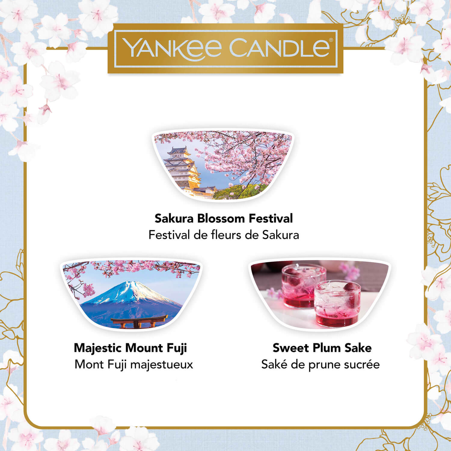 Yankee Candle 3 Wax Melts Gift Set 4 Shaws Department Stores