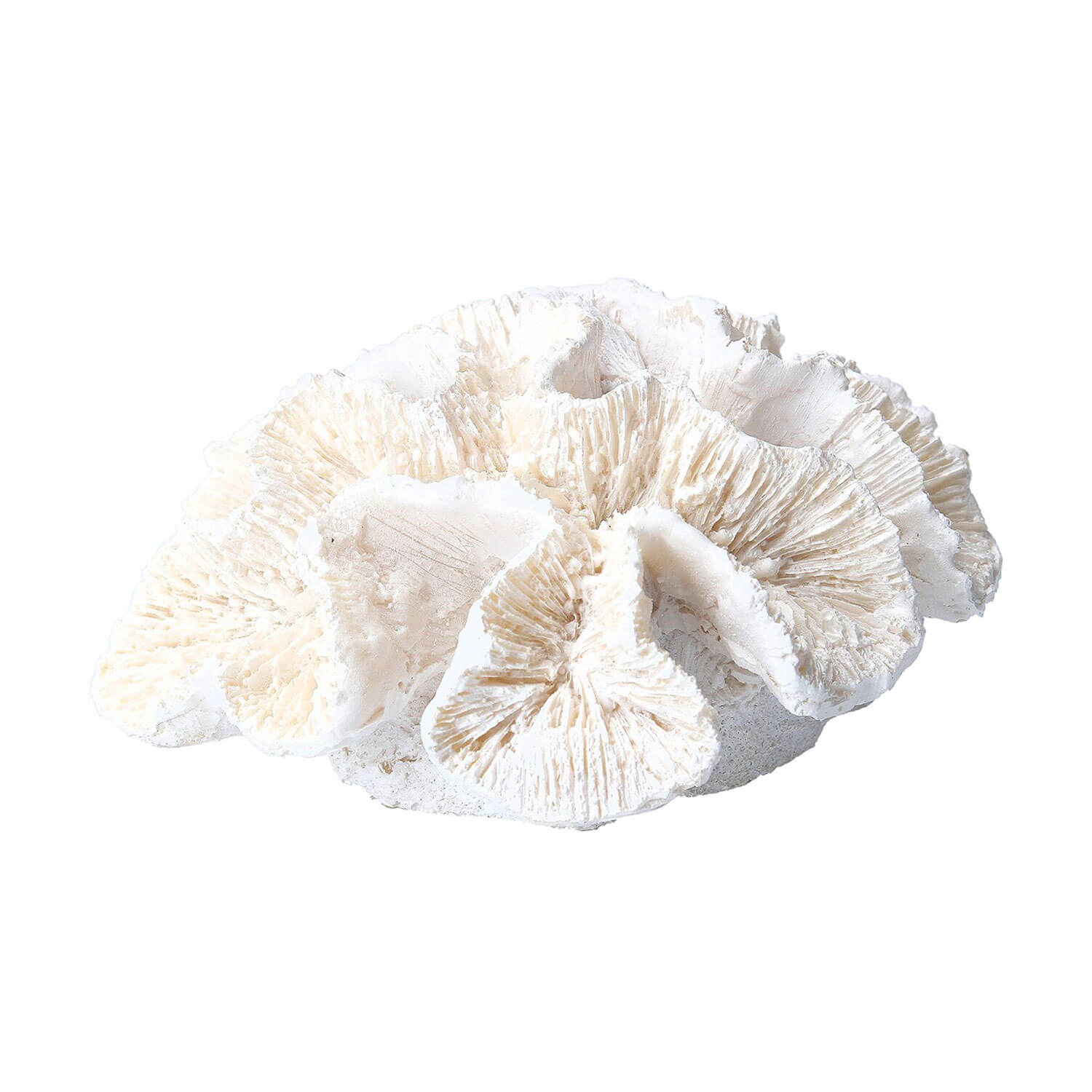Gisella Graham Resin Frill Coral Ornament - Small 1 Shaws Department Stores