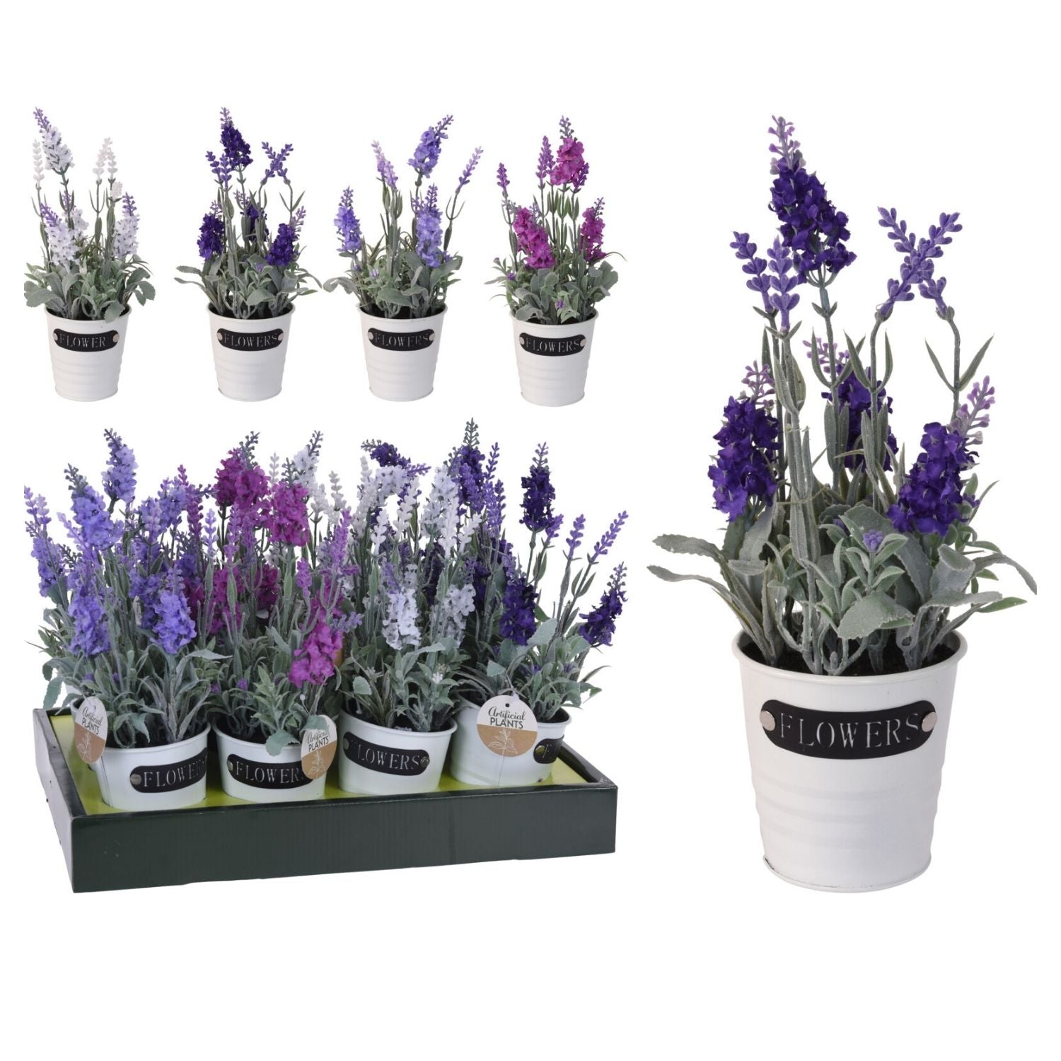 The Home Collection Lavender Plant in a Metal Pot 2 Shaws Department Stores