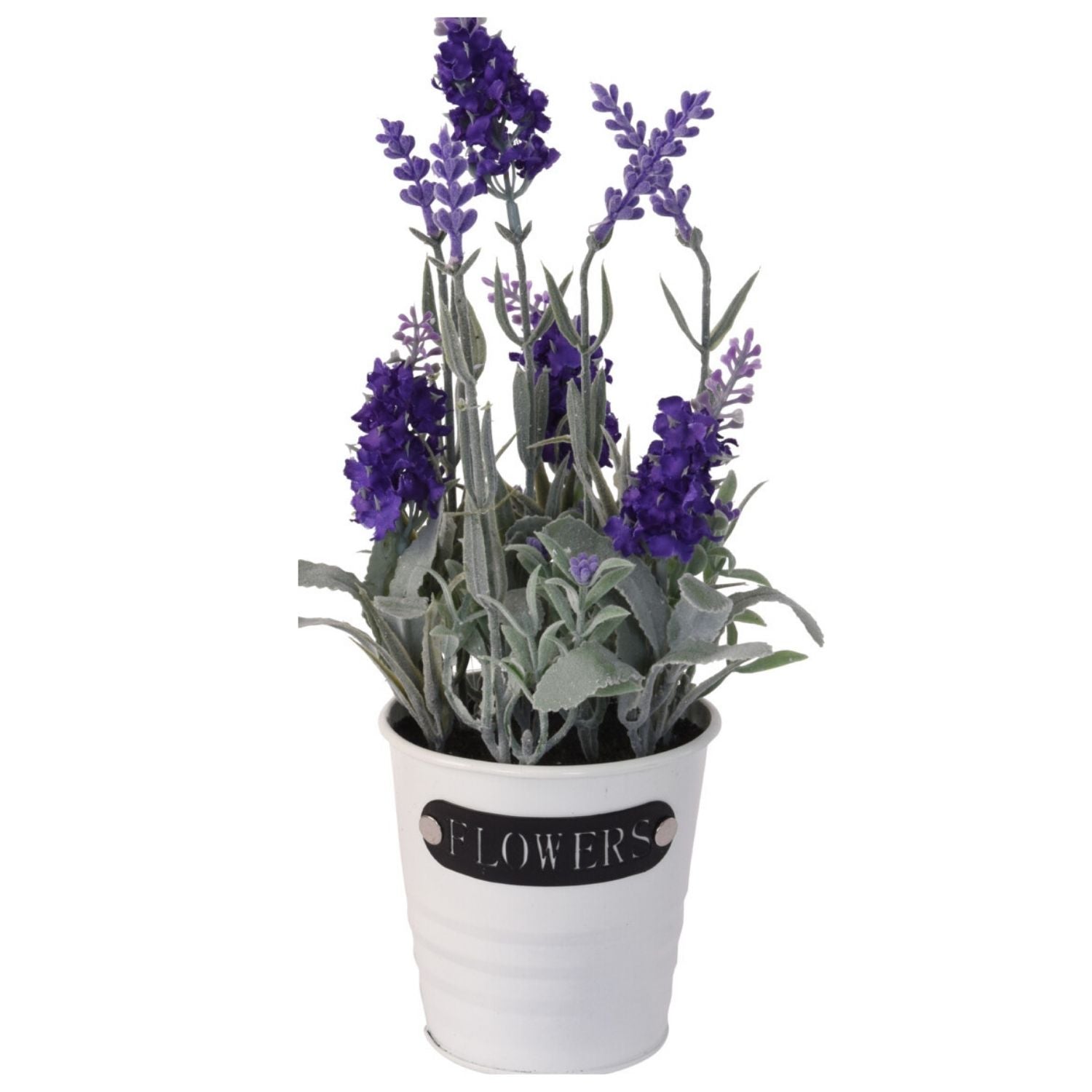 The Home Collection Lavender Plant in a Metal Pot 1 Shaws Department Stores