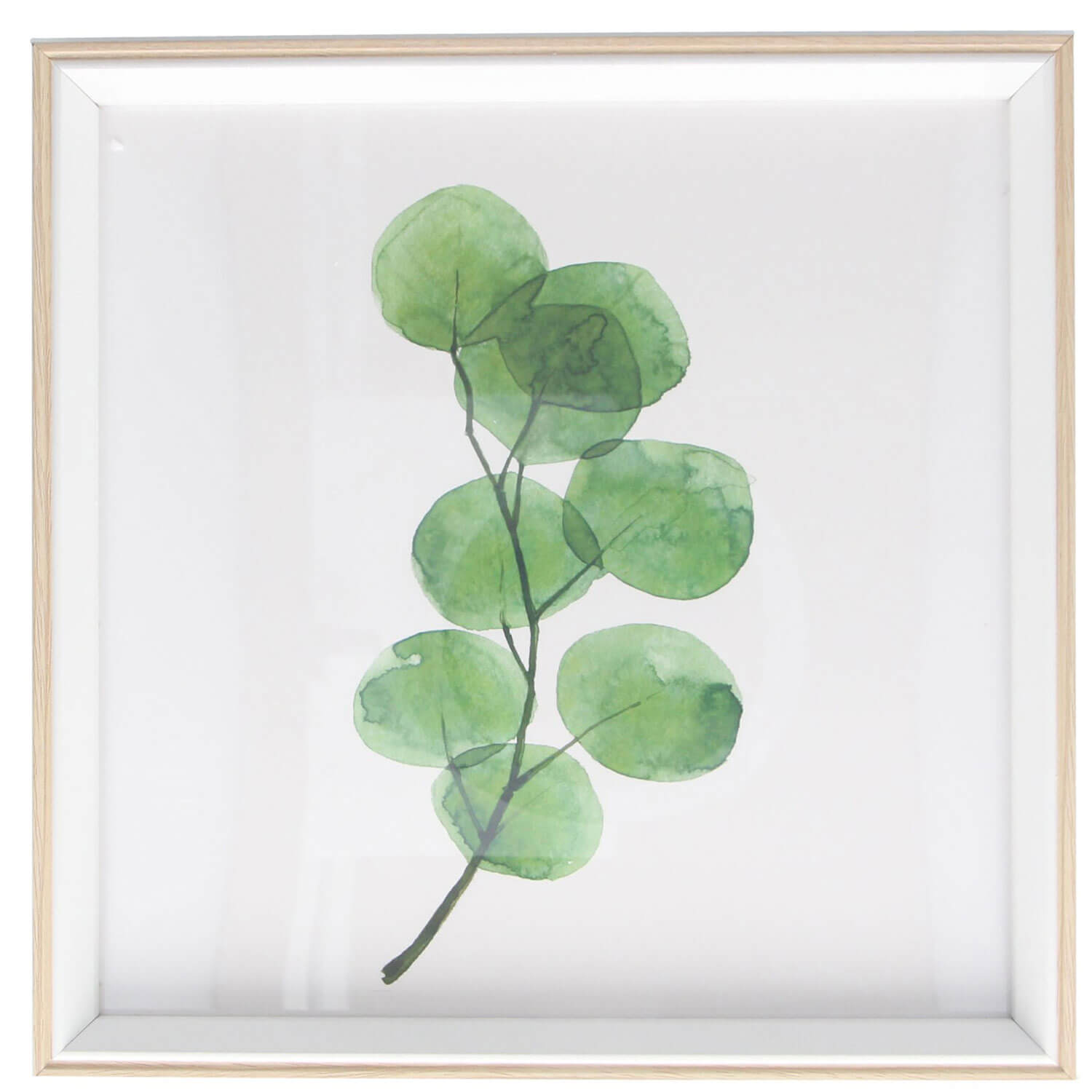 Gisella Graham Watercolour Branch Natural Framed Print Square 1 Shaws Department Stores