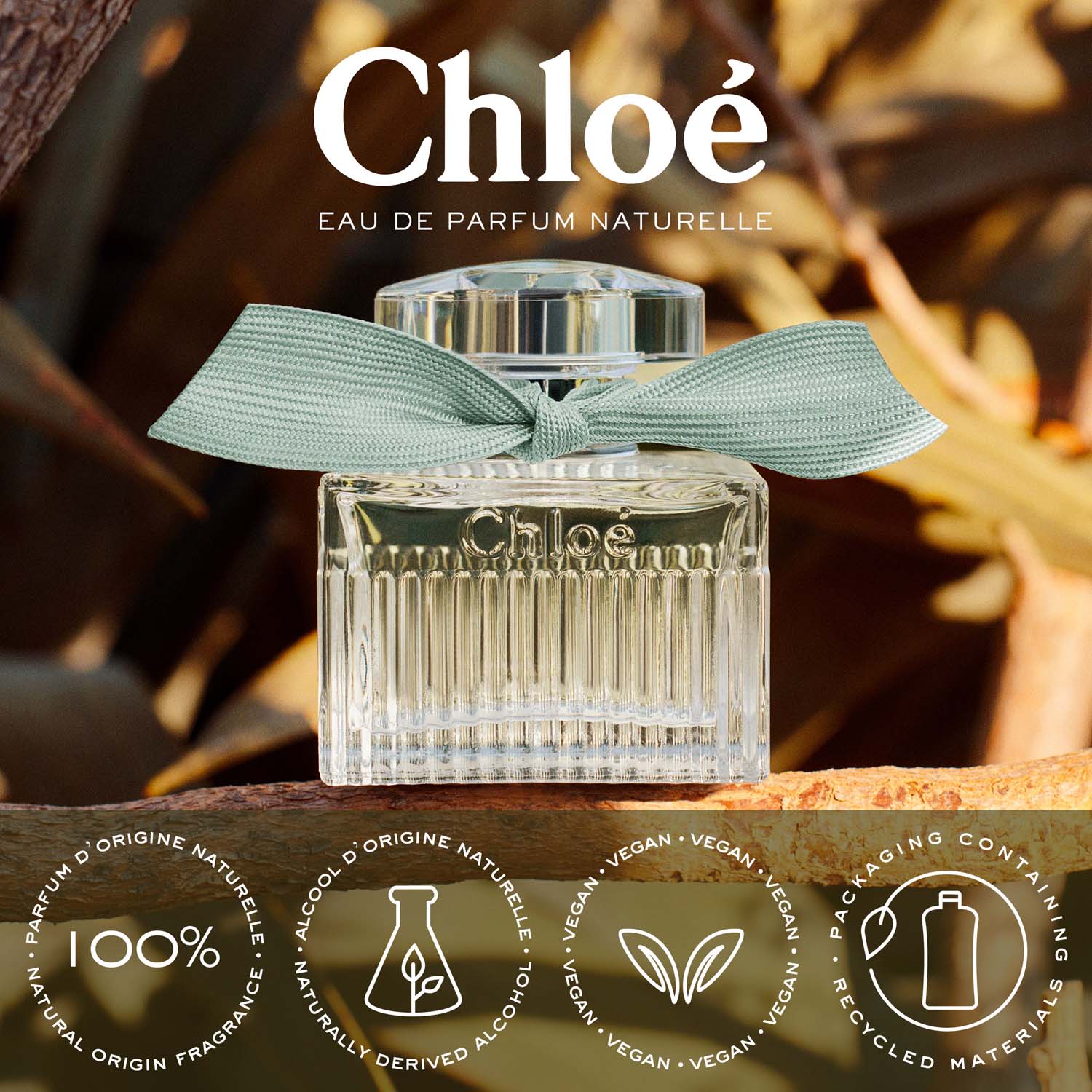 Chloe Eau De Parfum Naturelle - 100 ml 3 Shaws Department Stores