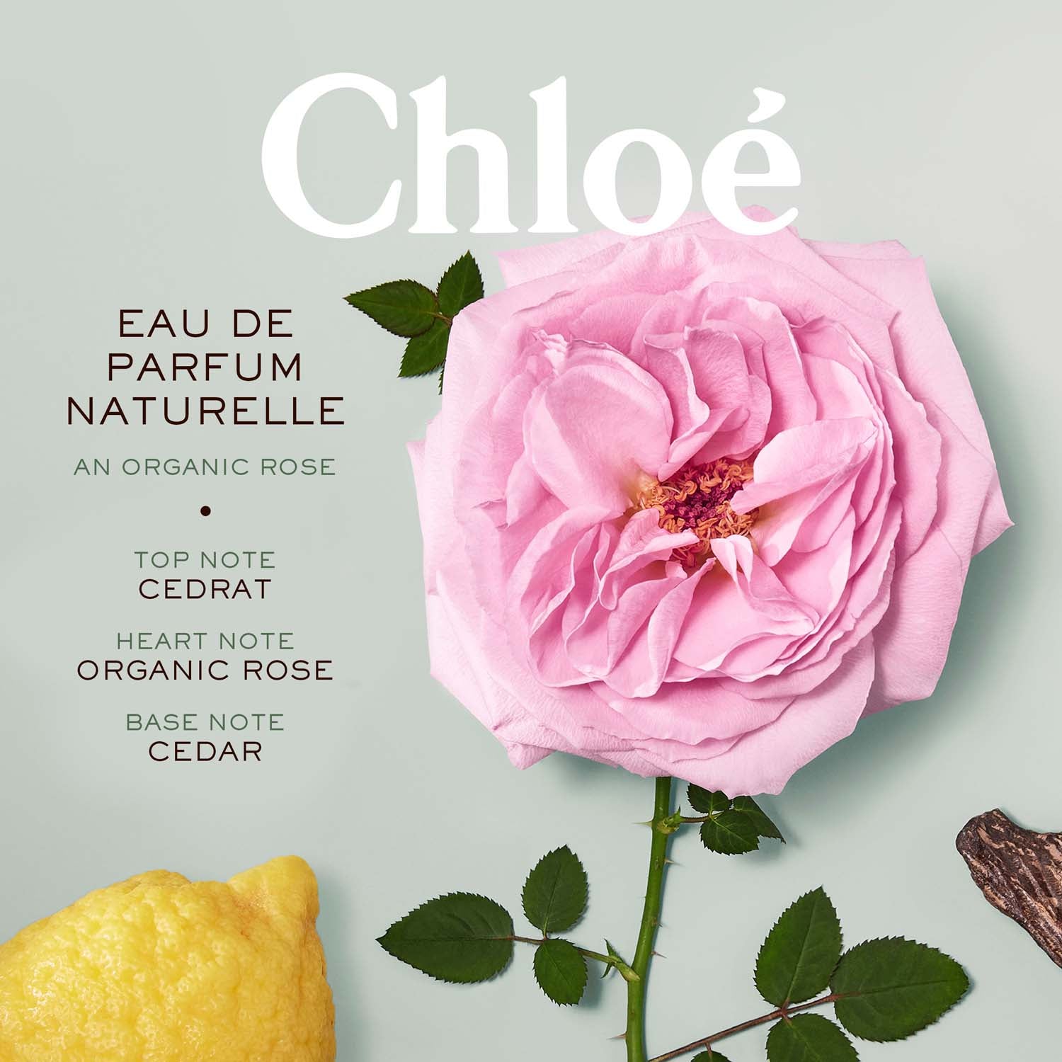 Chloe Eau De Parfum Naturelle - 100 ml 4 Shaws Department Stores