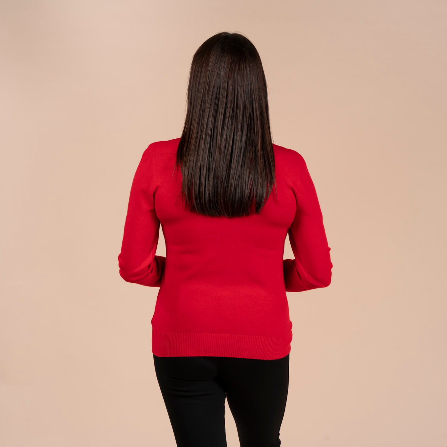 Tea Lane Roll Neck Basic Sweater - Red 2 Shaws Department Stores