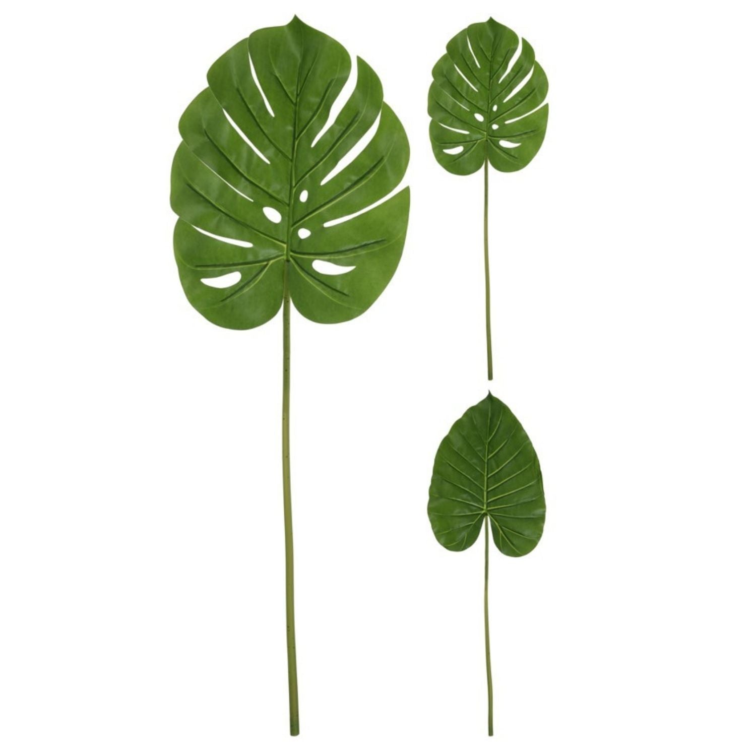 Koopman Real Touch Philo Leaf - 84cm 1 Shaws Department Stores