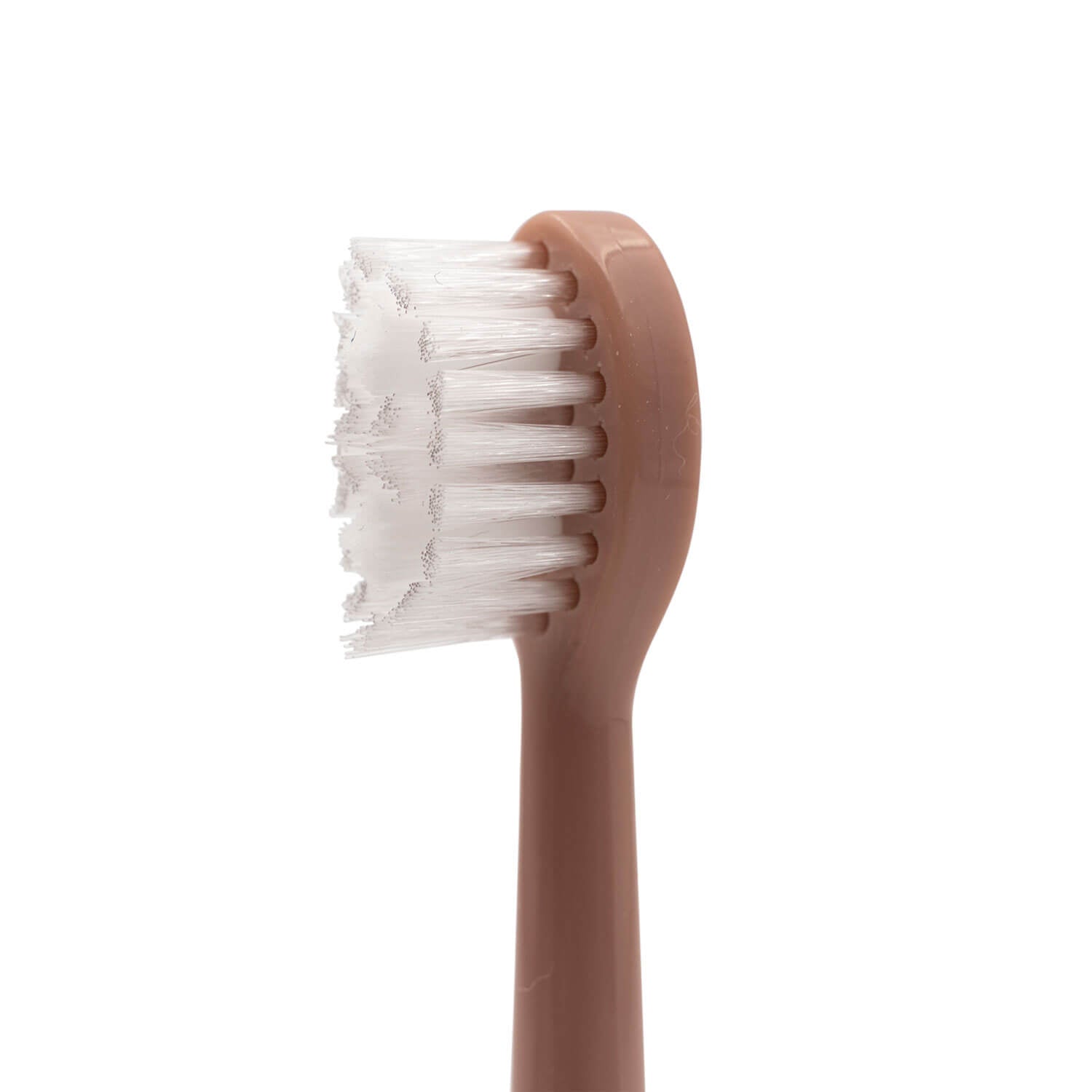 Spotlight Oral Care Sonic Head Replacements in Rose Gold 3 Shaws Department Stores