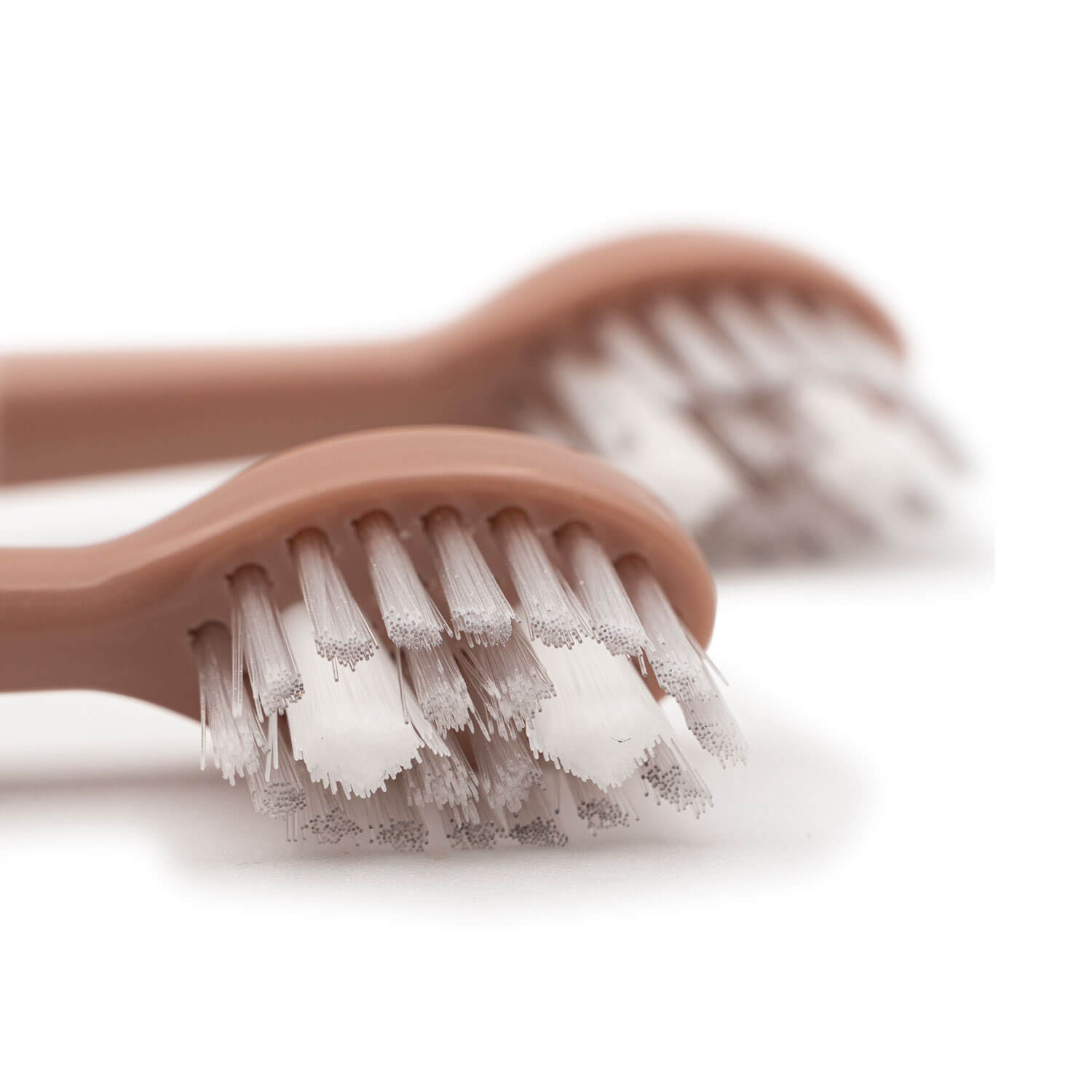 Spotlight Oral Care Sonic Head Replacements in Rose Gold 4 Shaws Department Stores