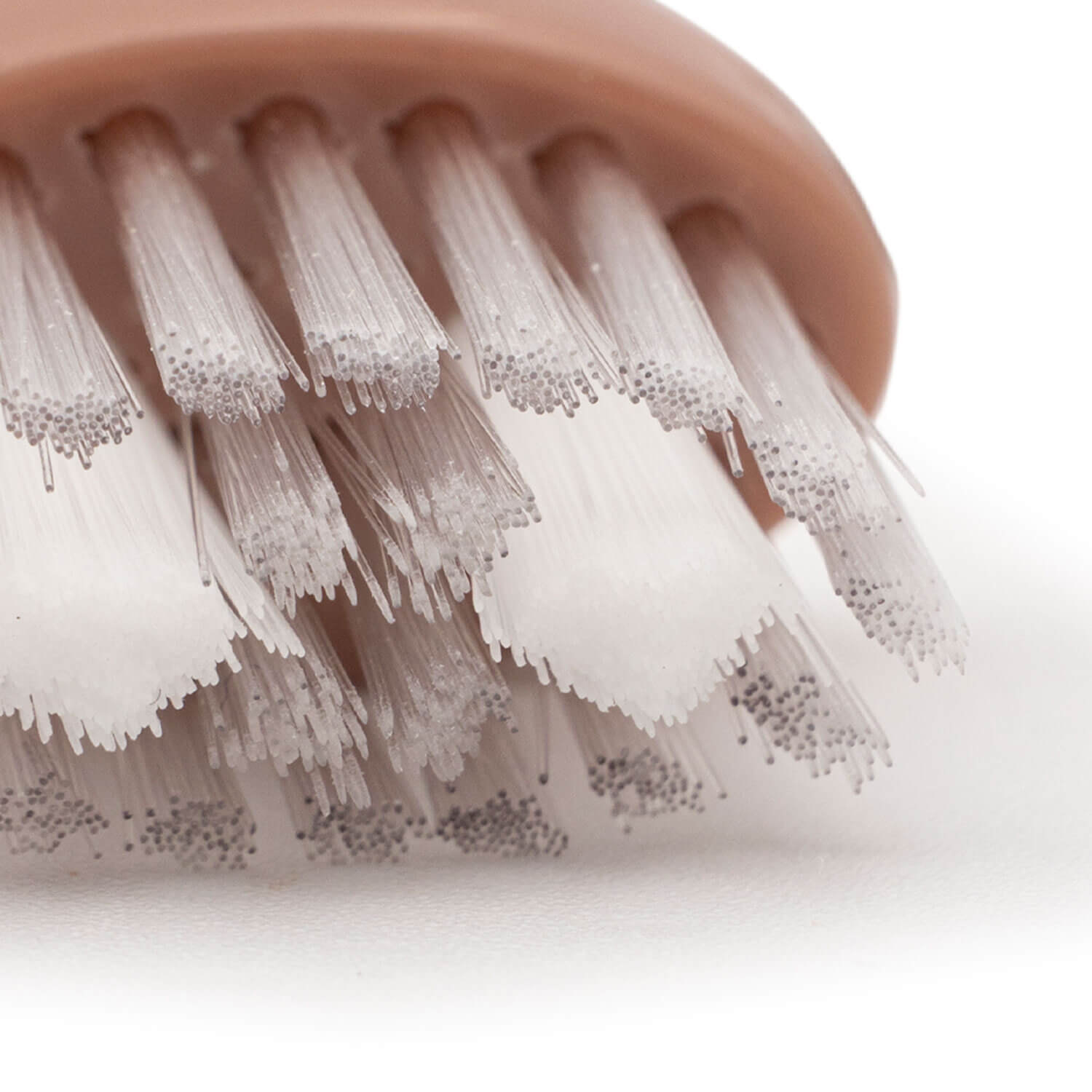 Spotlight Oral Care Sonic Head Replacements in Rose Gold 5 Shaws Department Stores