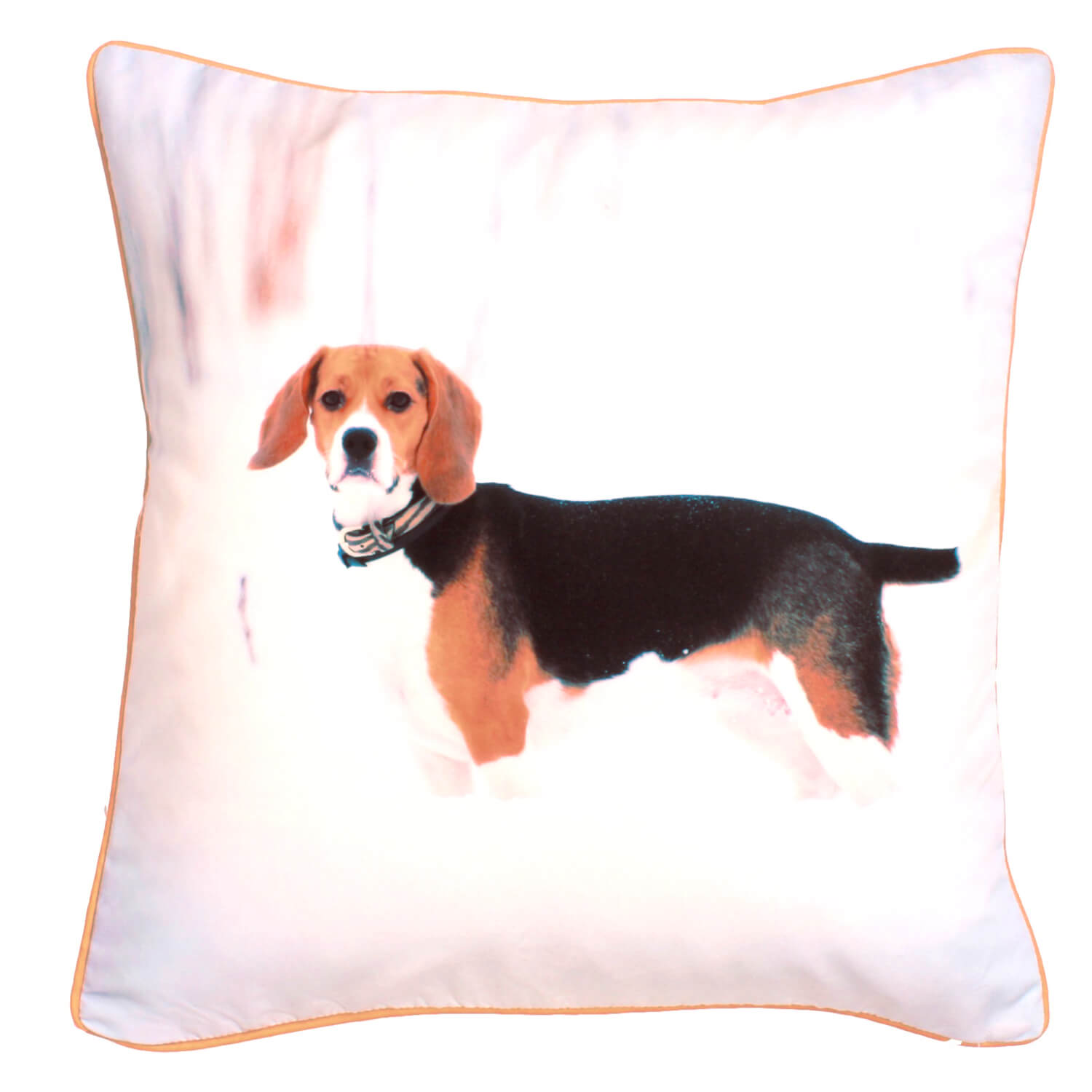 Velosso Printed Dog Cushion 43cm x 43cm 1 Shaws Department Stores
