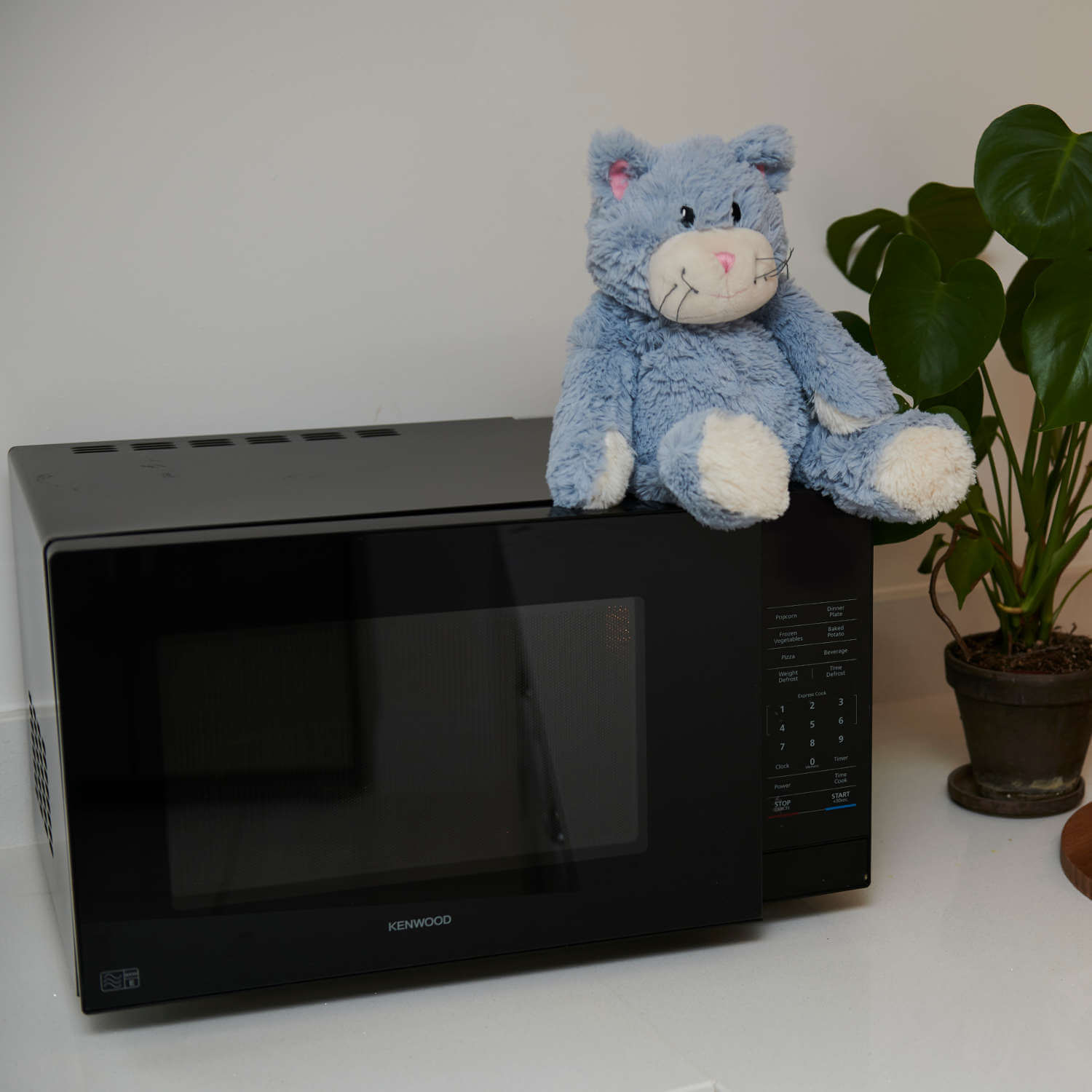 Warmies Plush Cat Microwavable 4 Shaws Department Stores